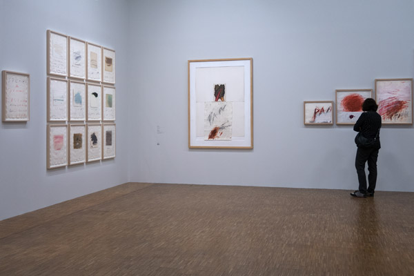 2017-04-Expo_Cy_Twombly-12