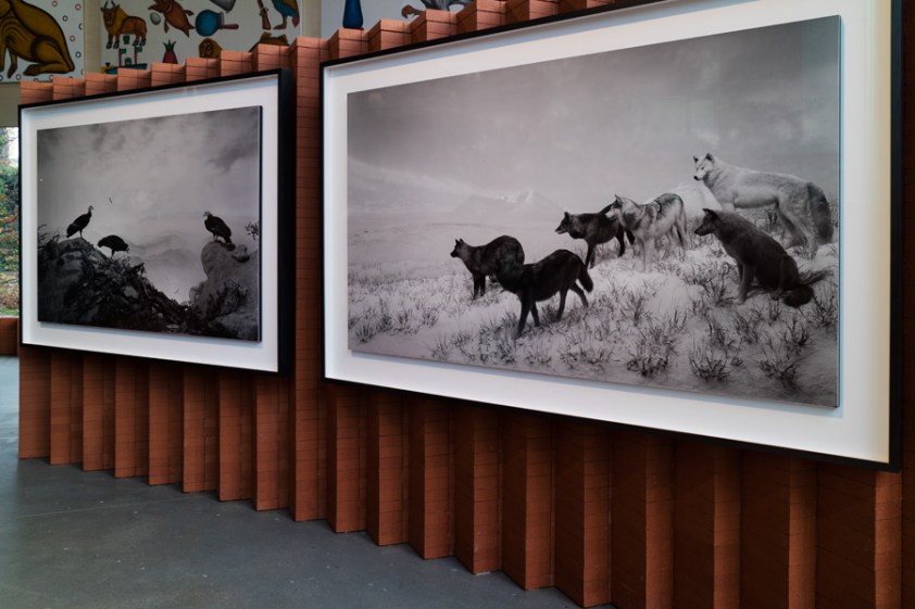 Le Grand Orchestre des Animaux