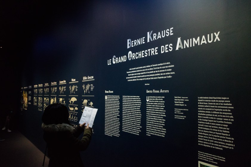 Le Grand Orchestre des Animaux