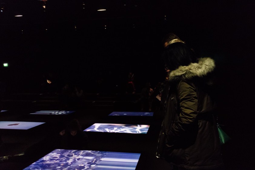 Le Grand Orchestre des Animaux